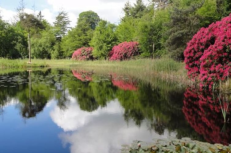 Vakantiehuisje in Wijnjewoude