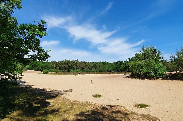 Vakantiehuisje in Wijnjewoude
