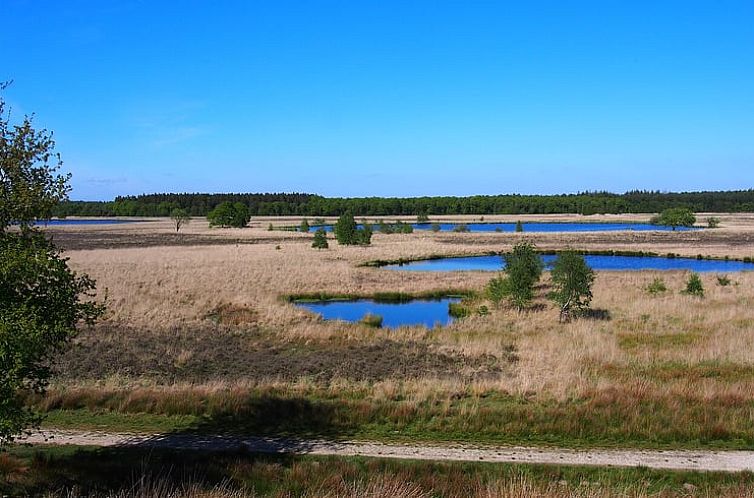Vakantiehuisje in Wijnjewoude