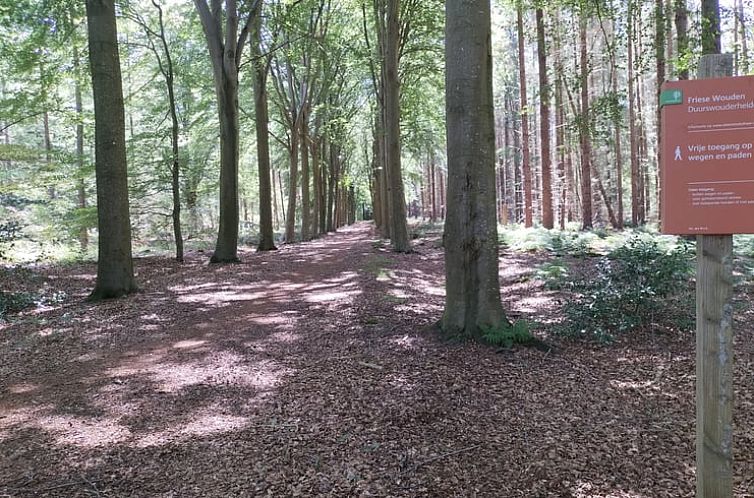 Vakantiehuisje in Wijnjewoude