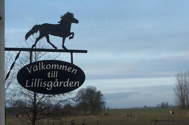 Unterkunft 23517301 - Ferienhaus Götaland - Lägenhet Lillisgården