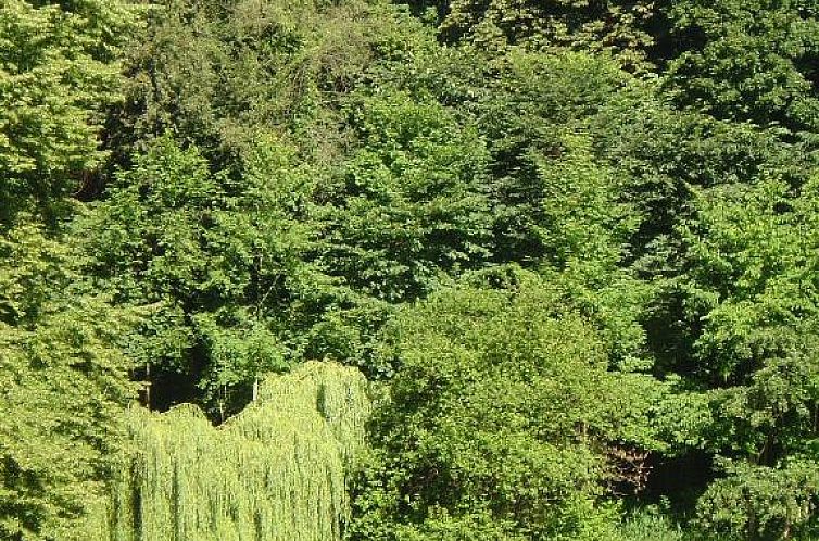 Carmina am See