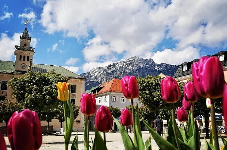 Hotel Garni Steiermark