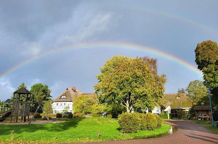 Reethäuser auf Rügen