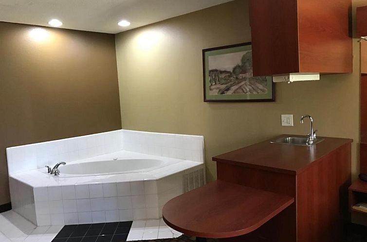 Microtel Inn & Suites by Wyndham Lithonia/Stone Mountain