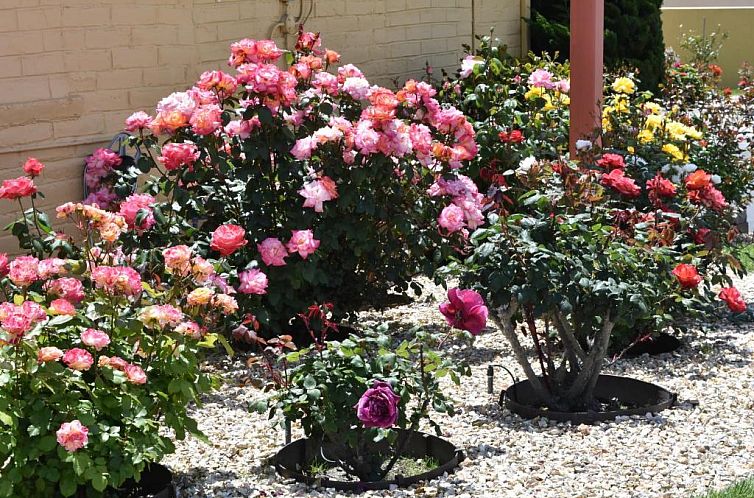 Seaside Inn Monterey