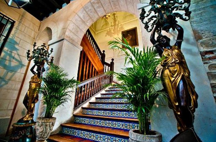 Hotel Condes de Castilla