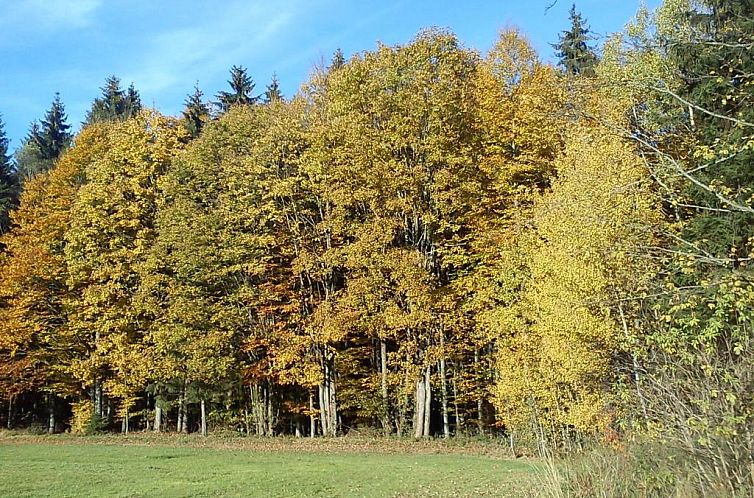 Ferienwohnungen Grill