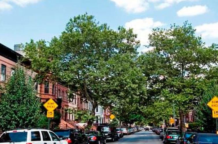 Appartement "Bedstuy Belle"