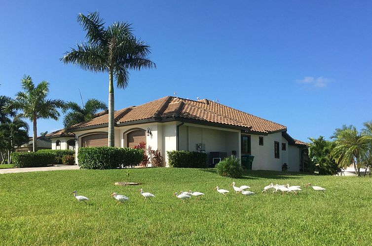 Vakantiehuis Villa Egretta