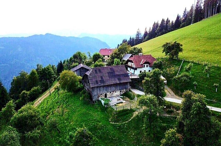 Apartment Berghof Familie Steinwender