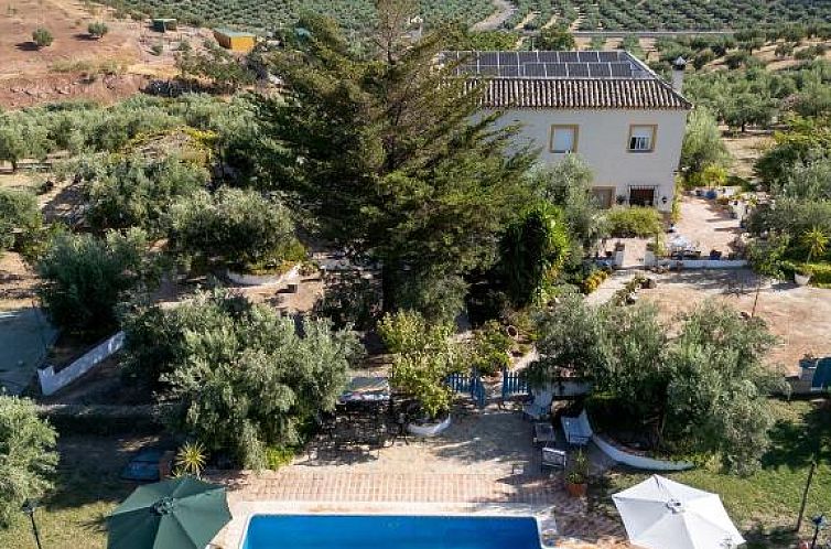 Unterkunft 25714102 - Ferienhaus Andalusien - Agroturismo Ecologico el Cortijillo