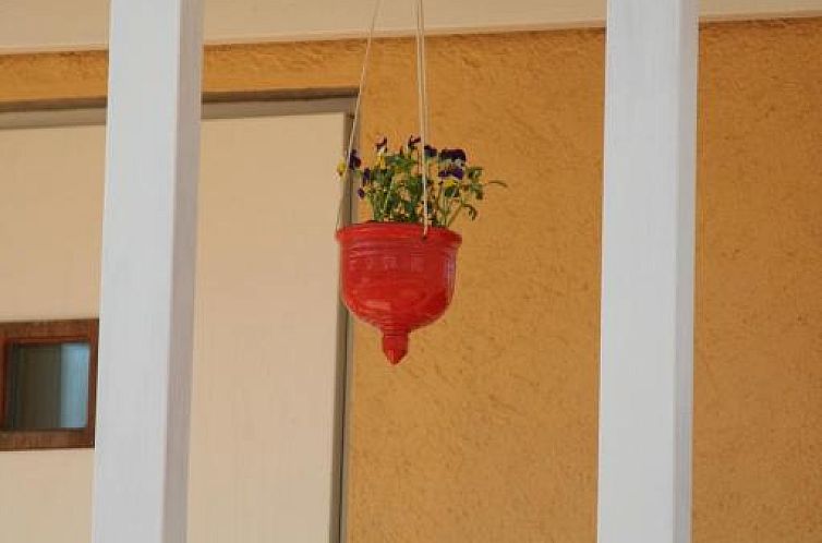 Bed & Breakfast Björkhyddan