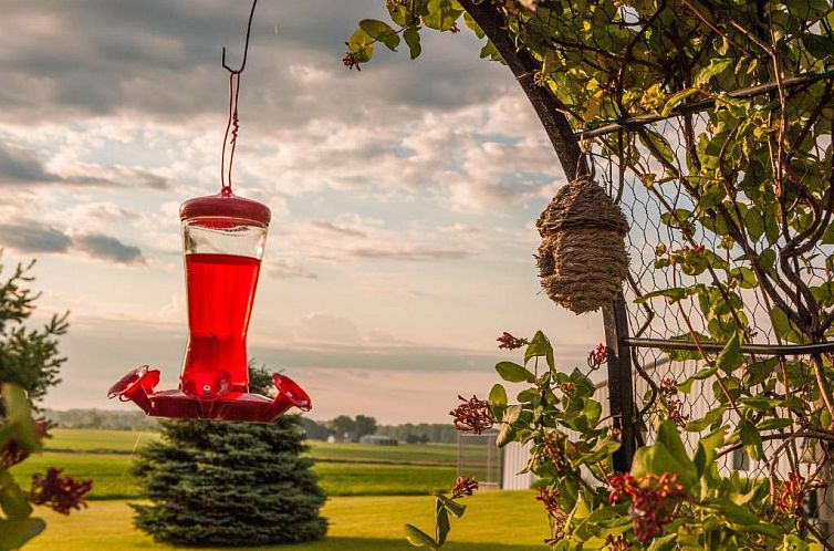 Scottish Bed & Breakfast
