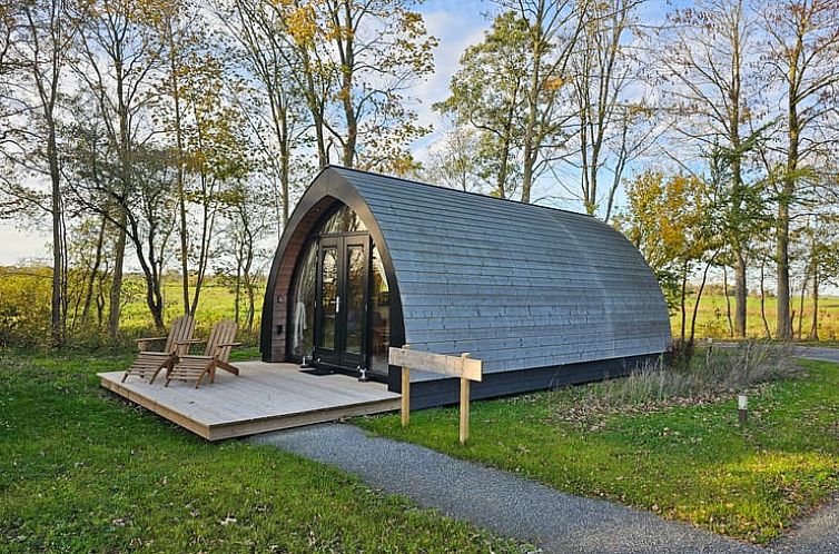 Cottage in Westergeest, vacation home in the Frisian countryside with wooden exterior and green surroundings.
