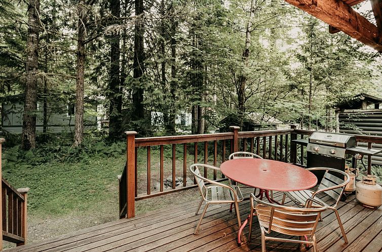 Vakantiehuis Hübsche Hütte mit Holzofen und haustierfreund