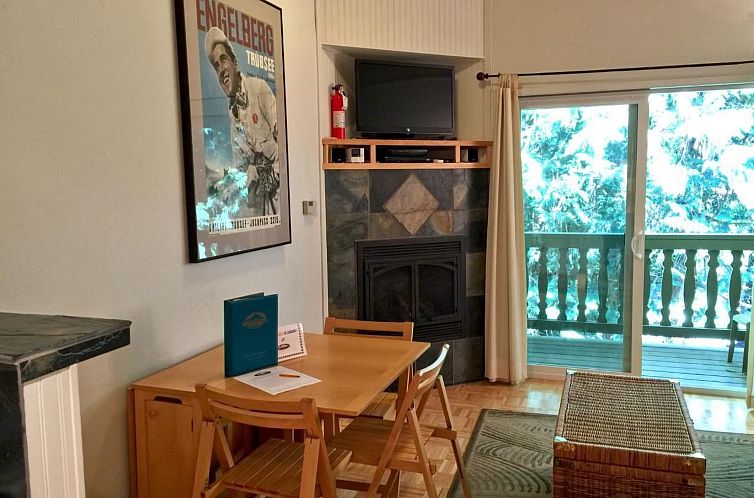 Appartement Tolle kleine Eigentumswohnung mit Kamin und Wi-F