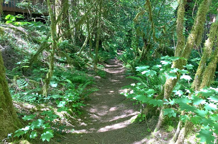 Vakantiehuis Familientraumkabine mit Whirlpool, Sauna und WI