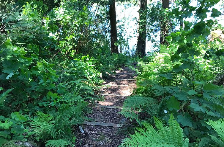 Vakantiehuis Wunderschöne Hütte am See