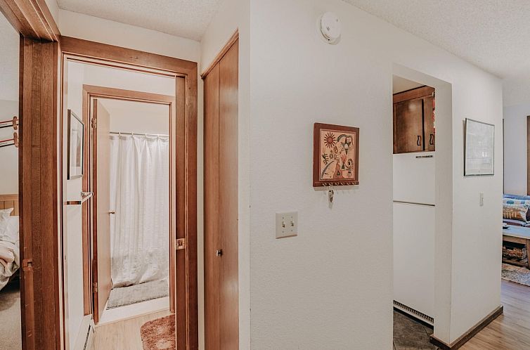 Appartement Wohnung "Mountain Home Condo"