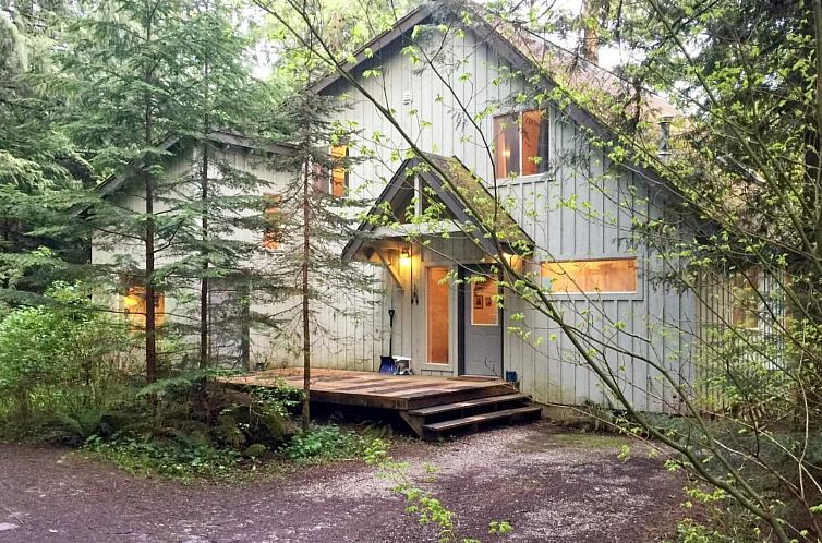 Unterkunft 26113275 - Ferienhaus Noordwesten - Vakantiehuis Hütte am Fluss mit Sauna, Whirlpool, Haustiere