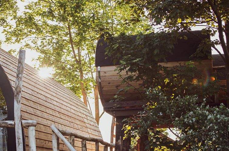 Vakantiehuis in Oostrum/Dokkum