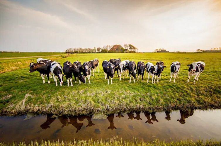 Recreatieboerderij Slachtehiem