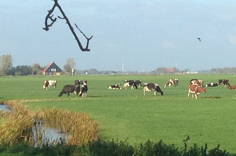 Vakantiehuis in Lollum