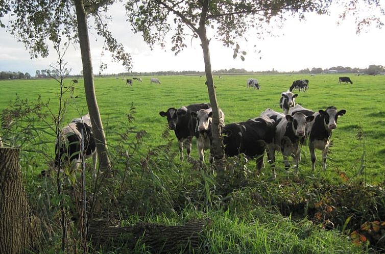 Huisje in Readtsjerk (Roodkerk)
