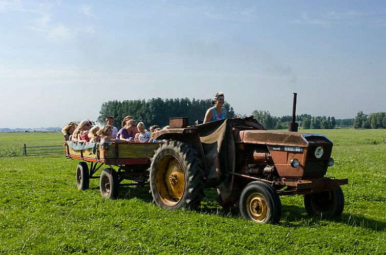 Huisje in Sint Annaparochie