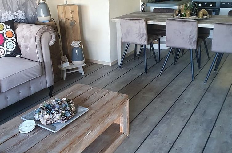 Vakantiehuisje in Holwerd