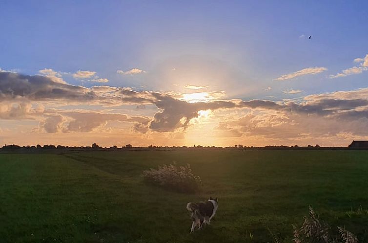 Vakantiehuisje in Holwerd