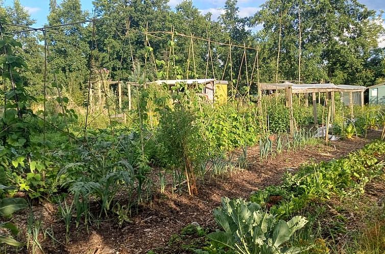 Vegetable Garden at Holiday Home in Noardburgum, enjoy nature in the Frisian countryside in Friesland.
