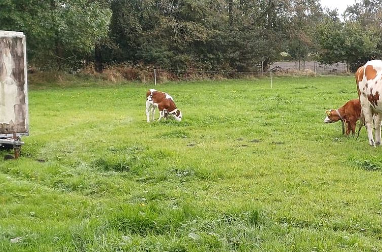 Vakantiehuis in Noardburgum