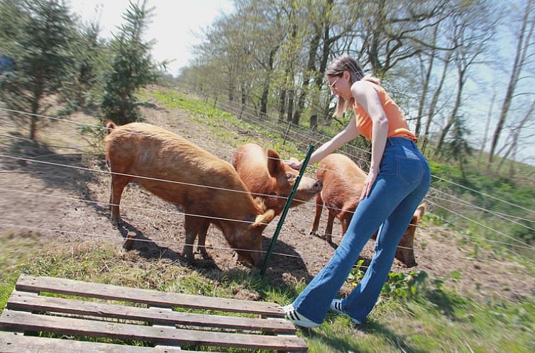 Vakantiehuis in Noardburgum