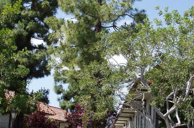 Laguna Hills Lodge-Irvine Spectrum