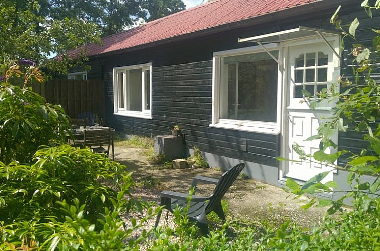 Geniet van de rust bij Huisje in Kollumersweach, een charmant vakantiehuis in Kollumerzwaag op het Friese platteland.