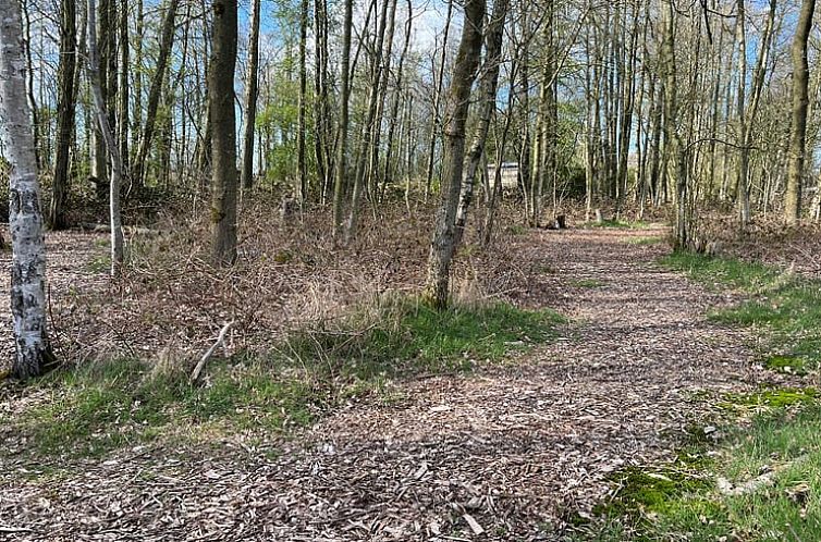 Huisje in Kollumersweach