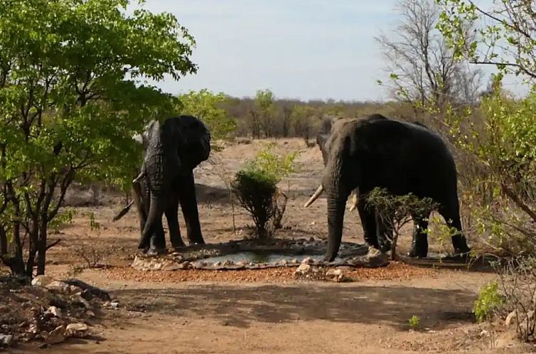 Umoja Bushvilla - Kruger Park