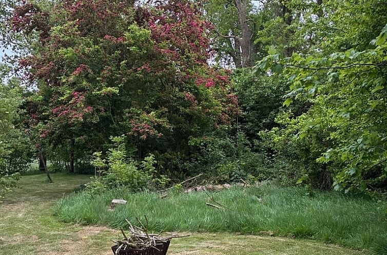 Vakantiehuis in Stiens