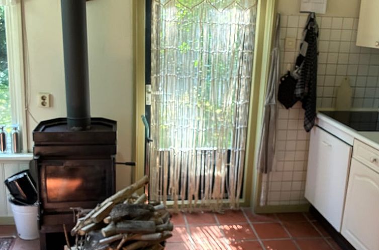 Vakantiehuis in Stiens