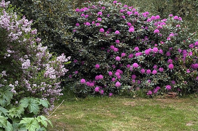 Vakantiehuis in Stiens