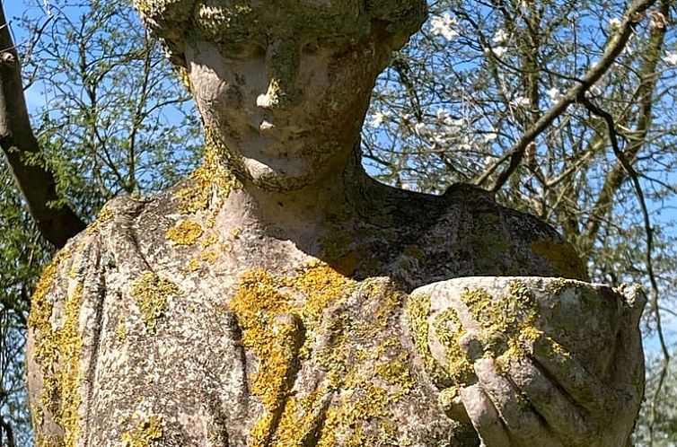 Vakantiehuis in Stiens