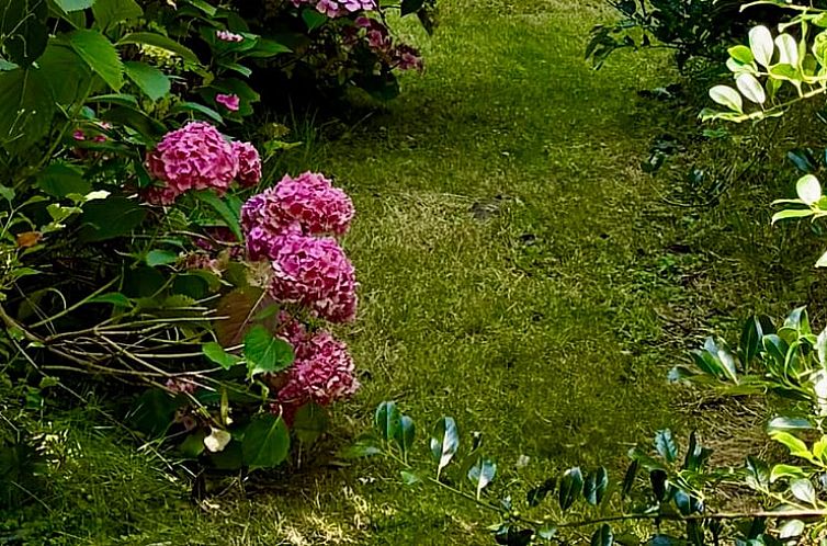 Vakantiehuis in Stiens