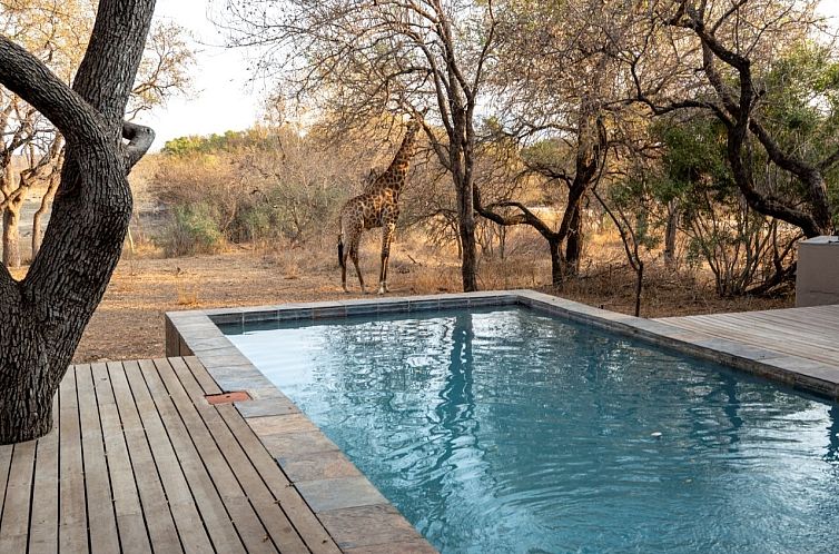 Unterkunft 2693014 - Ferienhaus Limpopo - Vrijstaande woning in Zuid-Afrika