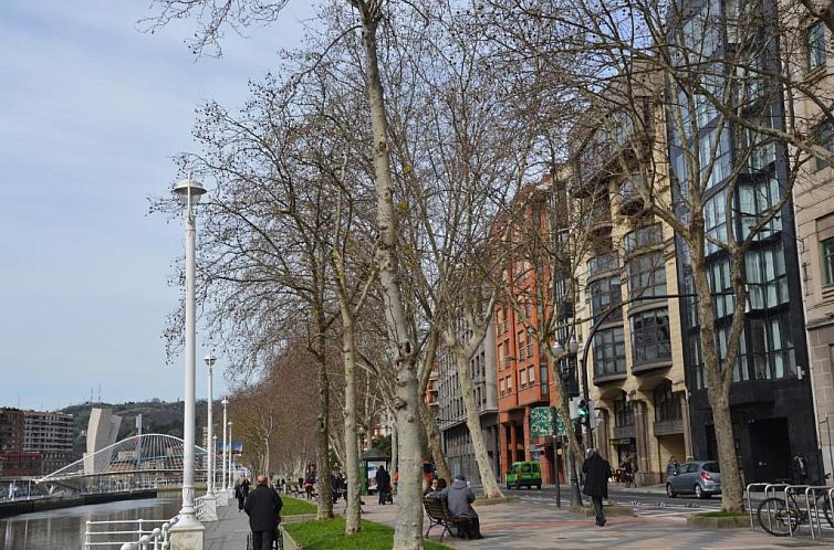 Hotel Bilbao Plaza
