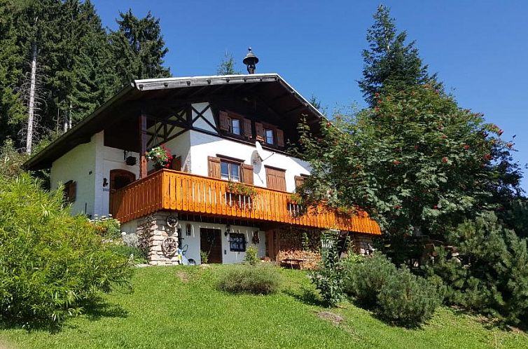 Guest house 27611401 - Holiday property Karnten - Almhaus Anita