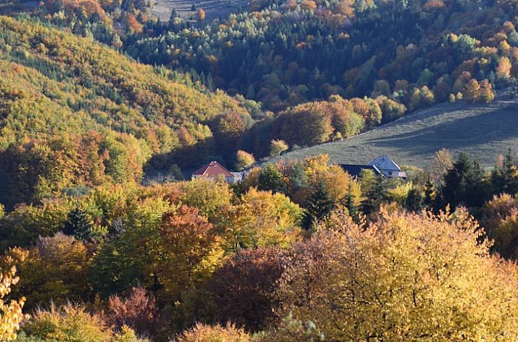 Vakantiehuis in Zvolen - Kralova