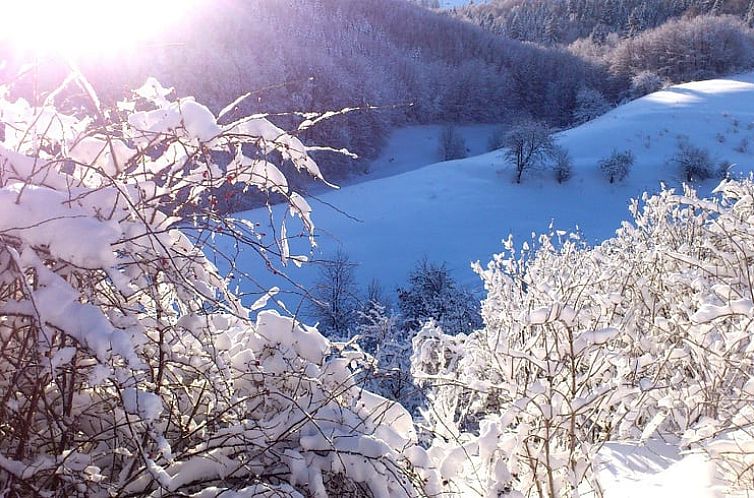 Vakantiehuis in Zvolen - Kralova