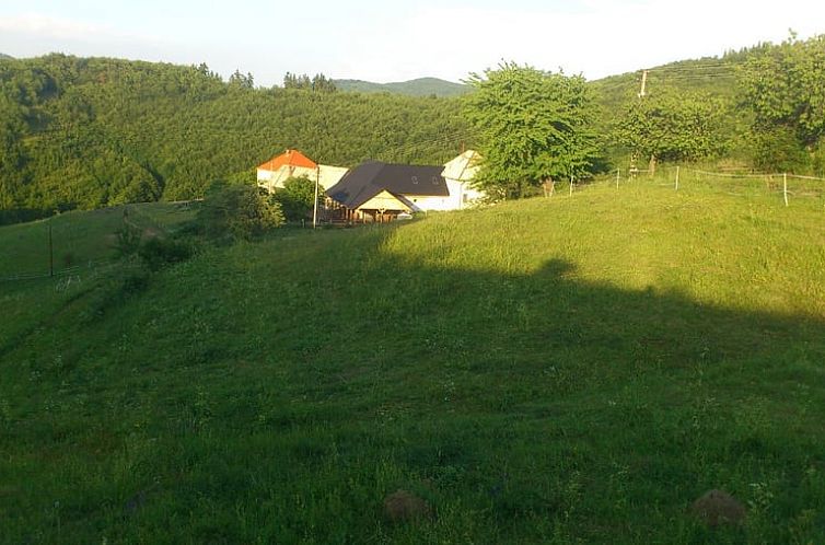 Vakantiehuis in Zvolen - Kralova